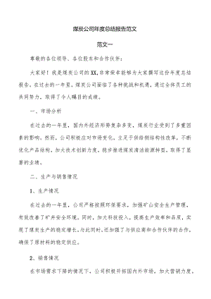 煤炭公司年度总结报告范文.docx