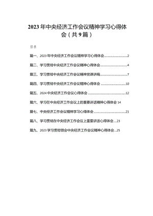 2024年中央经济工作会议精神学习心得体会9篇供参考.docx