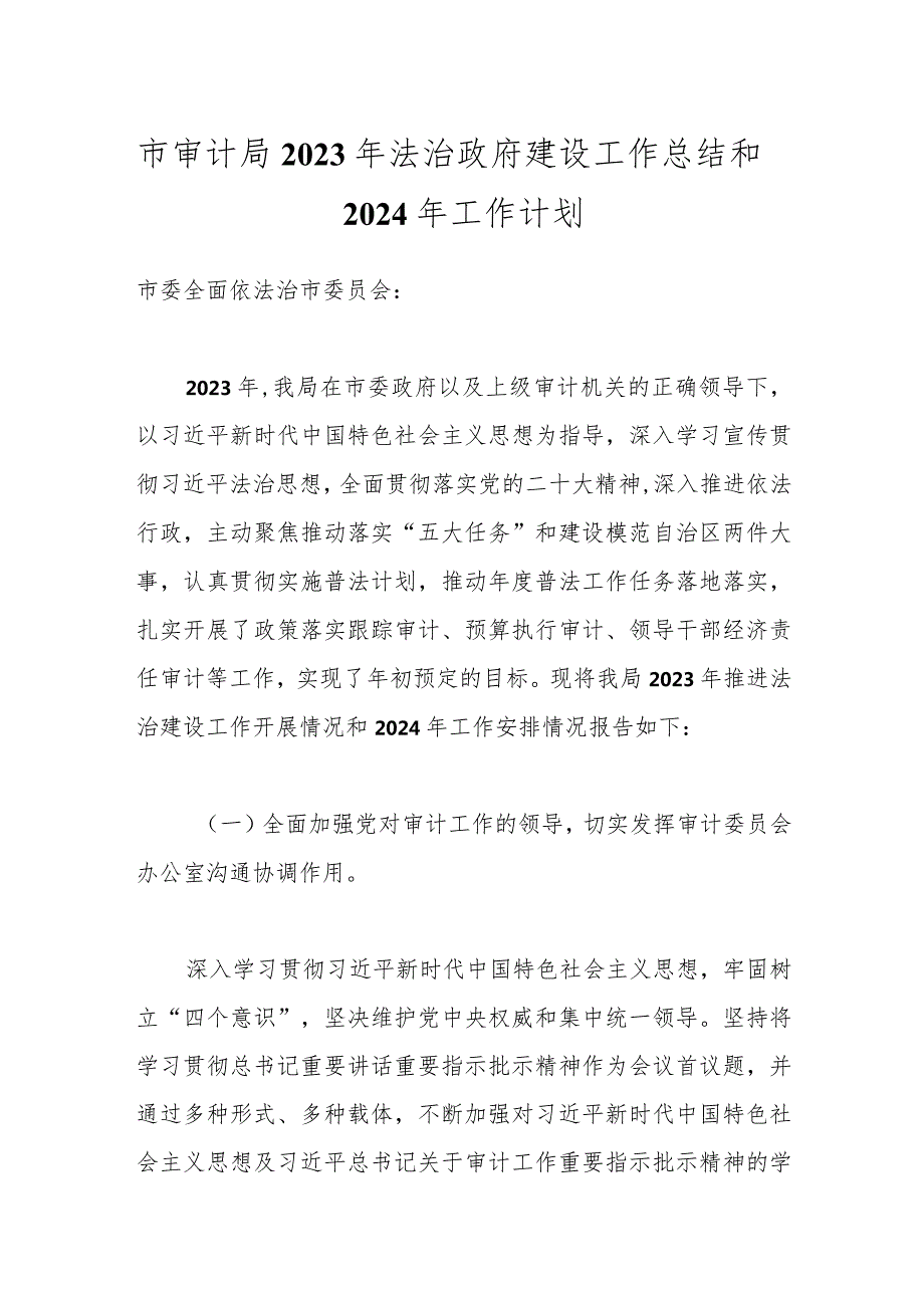 市审计局2023年法治政府建设工作总结和2024年工作计划.docx_第1页