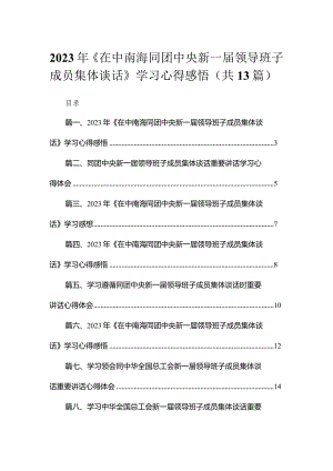 2023年《在中南海同团中央新一届领导班子成员集体谈话》学习心得感悟范文精选(13篇).docx