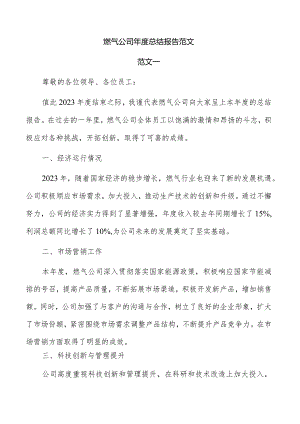 燃气公司年度总结报告范文.docx