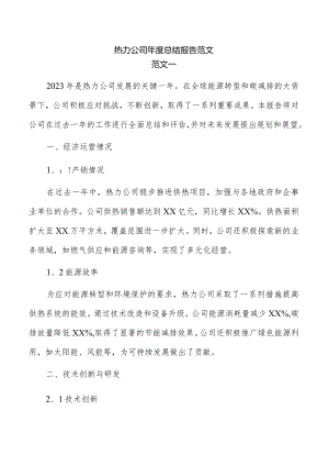 热力公司年度总结报告范文.docx