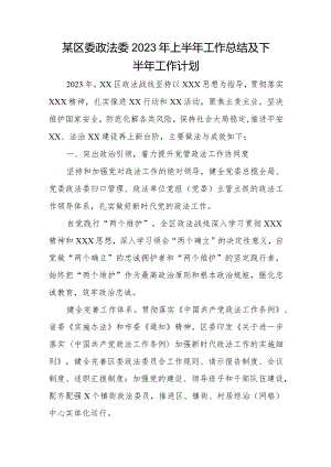 某区委政法委2023年上半年工作总结及下半年工作计划.docx