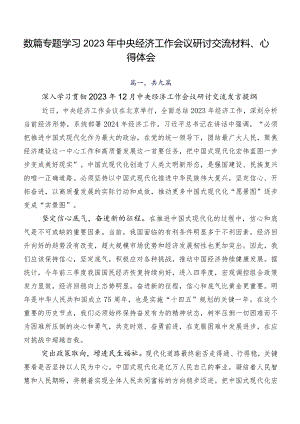 数篇专题学习2023年中央经济工作会议研讨交流材料、心得体会.docx