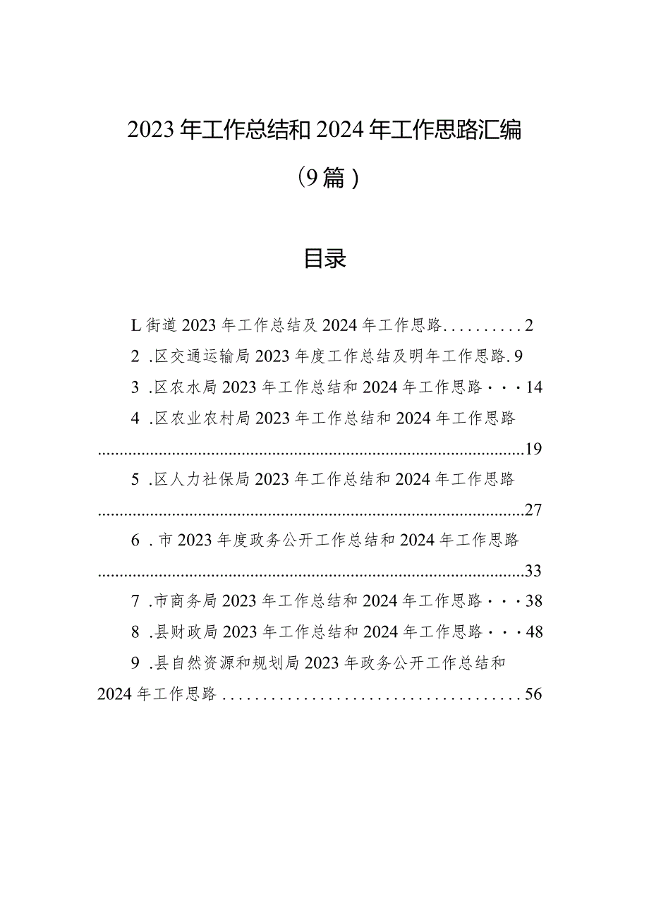 2023年工作总结和2024年工作思路汇编（9篇）.docx_第1页