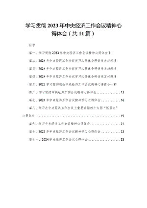 （11篇）学习贯彻2023中央经济工作会议精神心得体会范文.docx