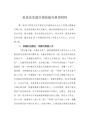 某某县党建引领促振兴典型材料.docx