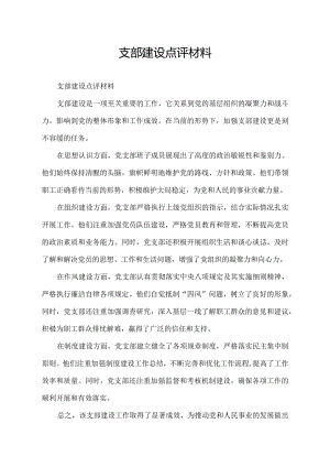 支部建设点评材料.docx