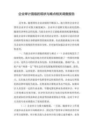 企业审计面临的现状与难点相关调查报告.docx