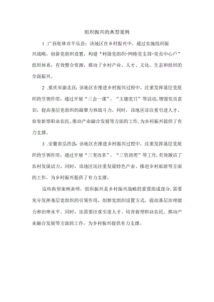 组织振兴的典型案例.docx