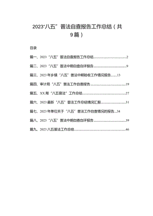 2023“八五”普法自查报告工作总结（共9篇）.docx