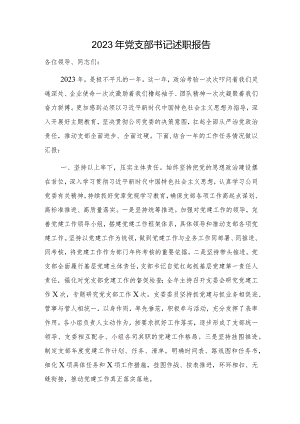 2023年国企党支部书记述职报告（党建述职3000字）.docx