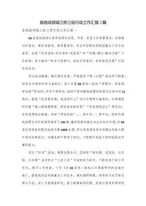 县统战领域三抓三促行动工作汇报2篇.docx