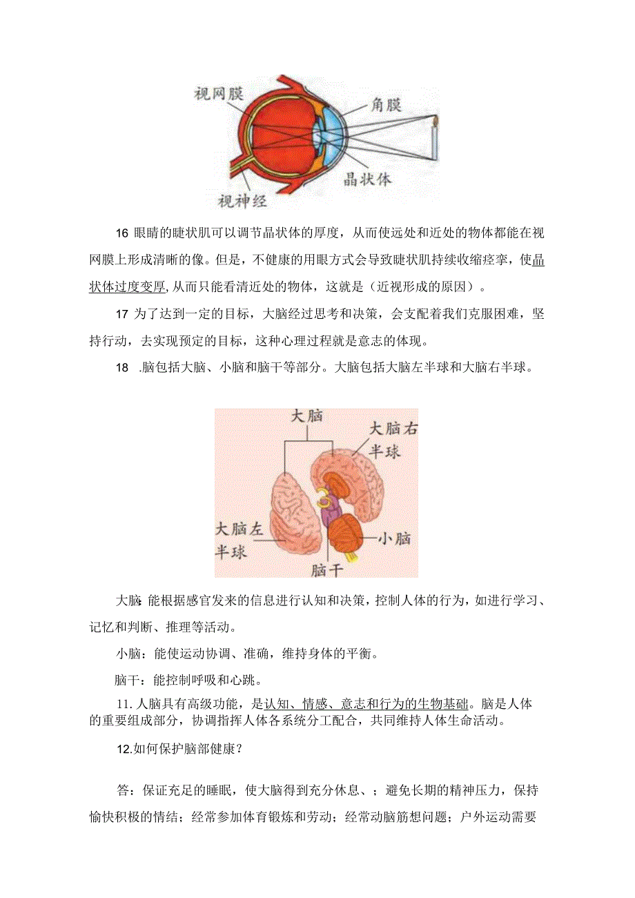 大象版科学五年级上册考试复习知识点汇总.docx_第3页