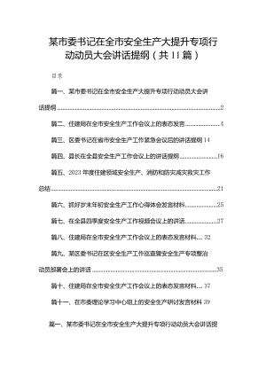 （11篇）某市委书记在全市安全生产大提升专项行动动员大会讲话提纲精选.docx