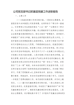 国企党支部书记抓党建工作述职报告2700字.docx