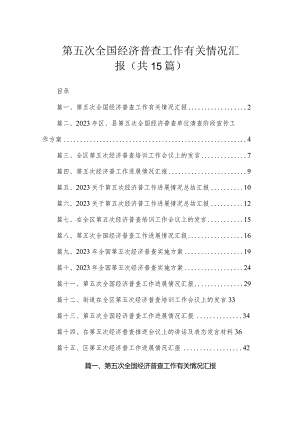 第五次全国经济普查工作有关情况汇报（共15篇）.docx