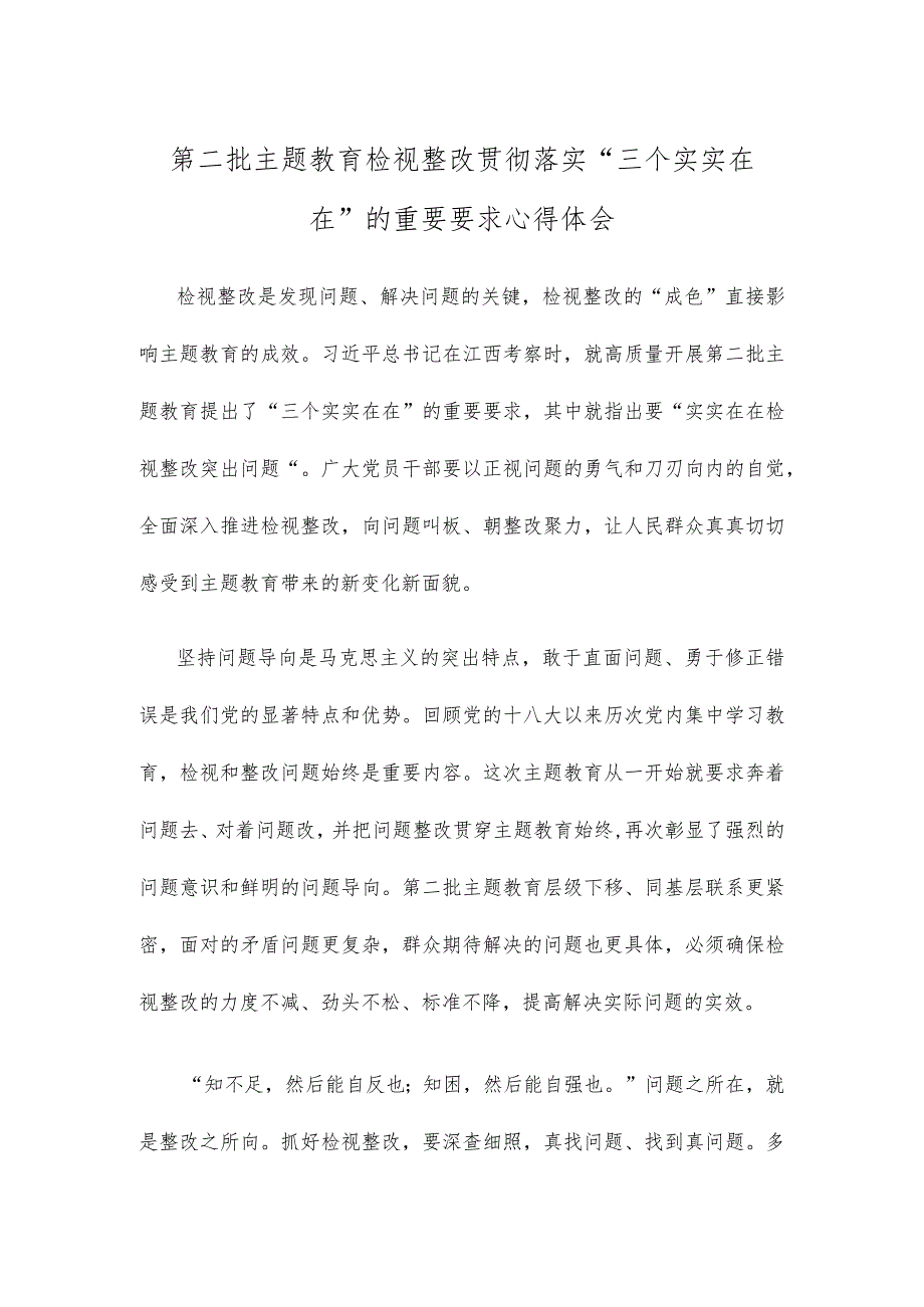 第二批主题教育检视整改贯彻落实“三个实实在在”的重要要求心得体会.docx_第1页