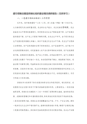 建引领推动基层供销社组织建设情况调研报告（仅供学习）.docx