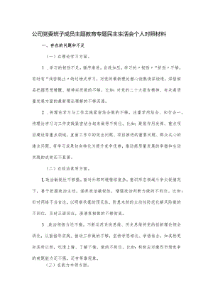 公司党委班子成员主题教育专题民主生活会个人对照材料.docx