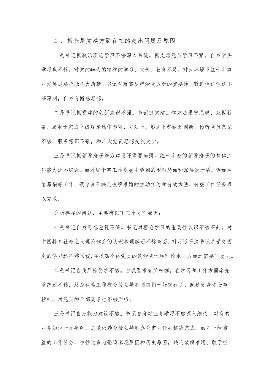 2023区红十字会党支部书记党建工作述职报告.docx_第3页