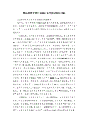 某县推动党建引领乡村全面振兴经验材料.docx