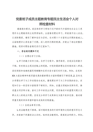 公司党委班子成员2023年度主题教育专题民主生活会个人对照检查材料.docx