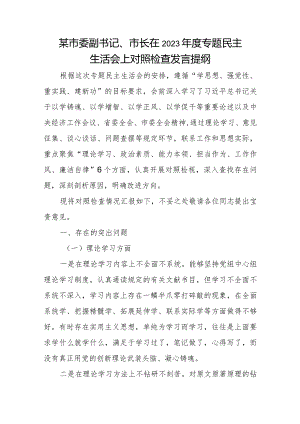 某市委副书记、市长在2023年度专题民主生活会上对照检查发言提纲.docx