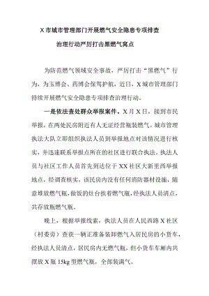 X市城市管理部门开展燃气安全隐患专项排查治理行动严厉打击黑燃气窝点.docx