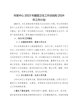 市某中心2023年爱国卫生工作总结和2024年工作计划.docx