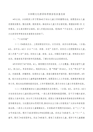 乡妇联大比拼目标考核自检自查总结.docx