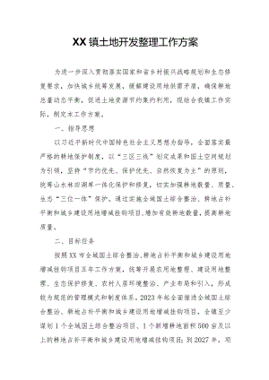 XX镇土地开发整理工作方案.docx