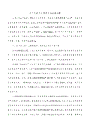 冬日无闲大抓项目活动安排部署.docx