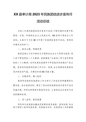 XX县审计局2023年民族团结进步宣传月活动总结.docx