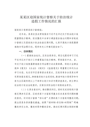 某某区迎国家统计督察关于防治统计造假工作情况的汇报.docx