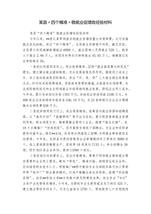 某县“四个精准”稳就业促增收经验材料.docx