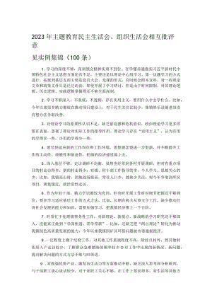 2023年主题教育民主生活会、组织生活会相互批评意见实例集锦（100条）.docx