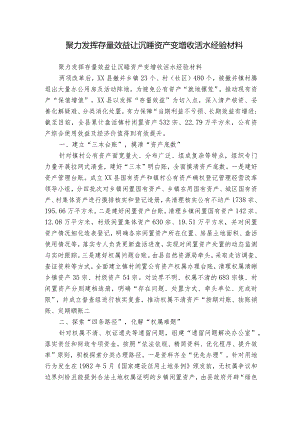 聚力发挥存量效益 让沉睡资产变增收活水经验材料.docx