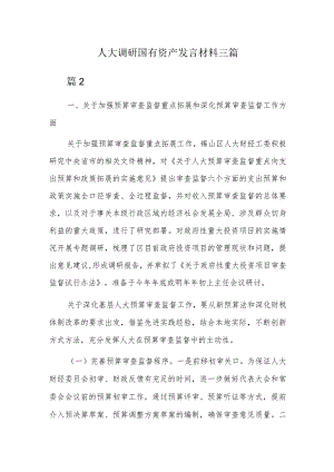 人大调研国有资产发言材料三篇.docx