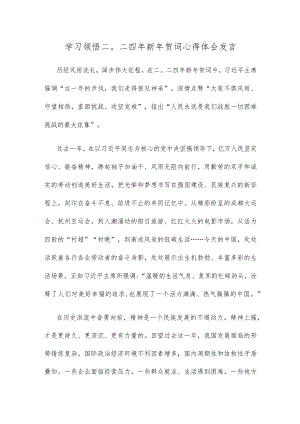 学习领悟二〇二四年新年贺词心得体会发言.docx