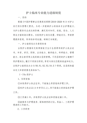 护士临床专业能力进级制度.docx