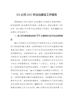 公司2023年法治建设工作报告.docx