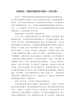 经验做法：党建引领激活乡村振兴“红色引擎”.docx