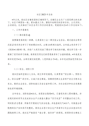 社区2023年总结.docx