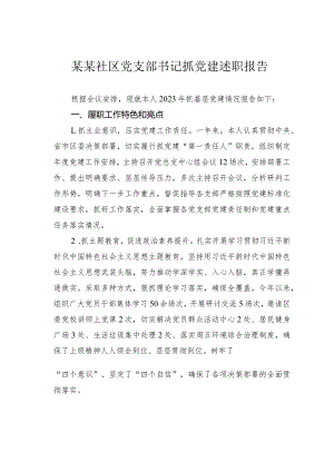 某某社区党支部书记抓党建述职报告.docx