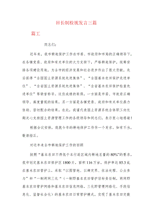 田长制检视发言三篇.docx