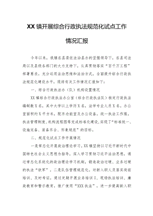 XX镇开展综合行政执法规范化试点工作情况汇报.docx