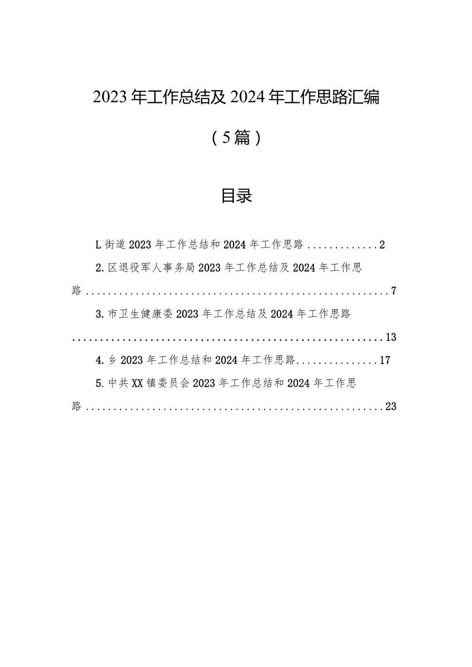 2023年工作总结及2024年工作思路汇编（5篇）.docx_第1页