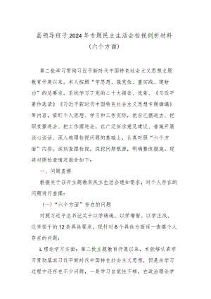 县领导班子2024年专题民主生活会检视剖析材料(六个方面).docx