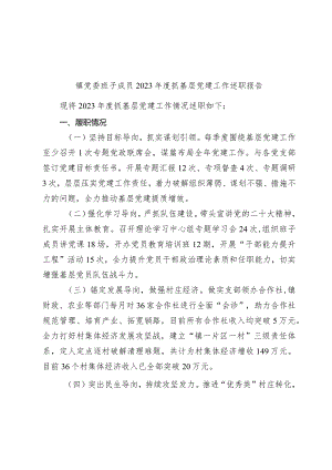 镇党委班子成员2023-2024年度抓基层党建工作述职报告.docx